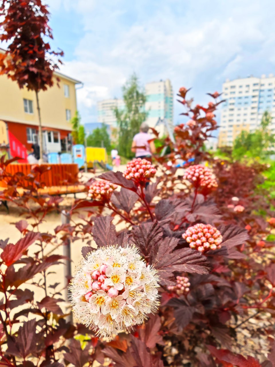 Местные инициативы